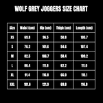 BEFORETHEFALL WOLF GREY JOGGERS