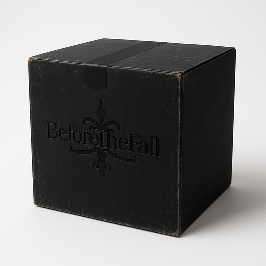BEFORETHEFALL MYSTERY BOX