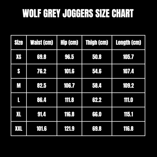 BEFORETHEFALL WOLF GREY TRACKSUIT